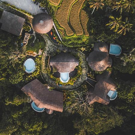 Jungleight Bali Hotel Tegallalang  Buitenkant foto
