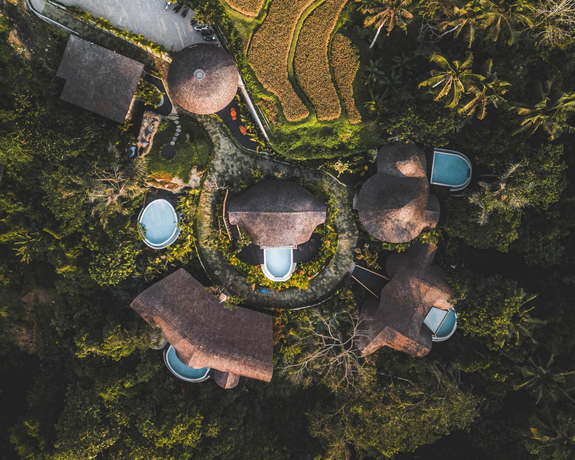 Jungleight Bali Hotel Tegallalang  Buitenkant foto